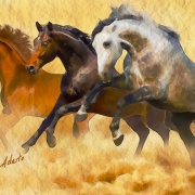 Horses-1, Watercolor - by Olivia Adato