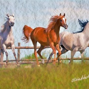 Horses-2, Watercolor - by Olivia Adato